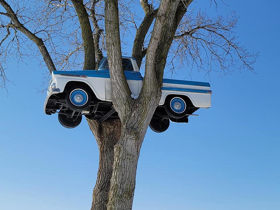 The Story Behind Route 43’s Truck In A Tree Outside Beloit