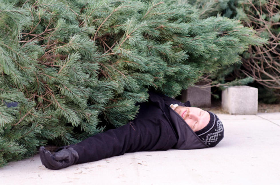 Is There Really A Christmas Tree Shortage In The Rockford Area?