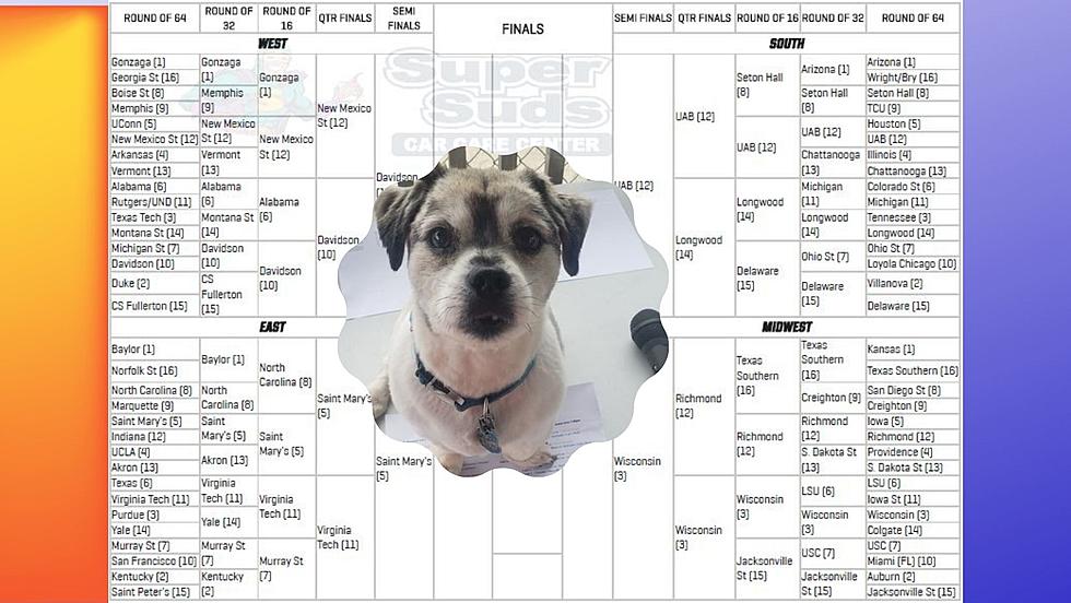 Do You Know More About Basketball Than A Dog? Try To Beat Max In Our Bracket Challenge