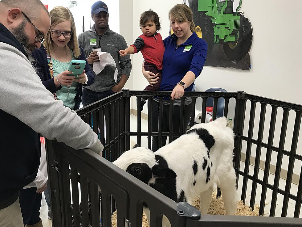 Local Farmers Teach Kids At Illinois' Best Children's Museum