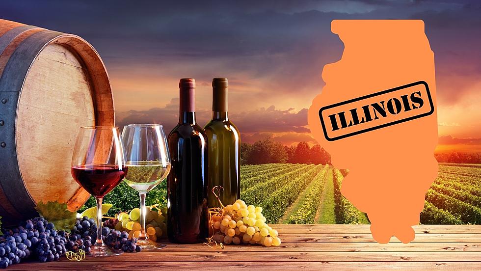 Summer Day Trip Idea: 5 Winerys Within An Hour Drive From Rockford