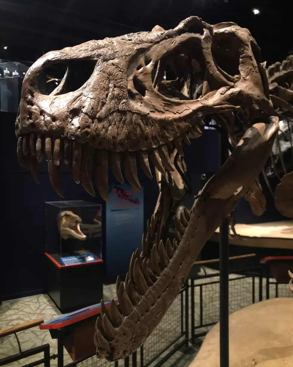 Were Jurassic Park Movie Dinos in Illinois Millions Of Years Ago?
