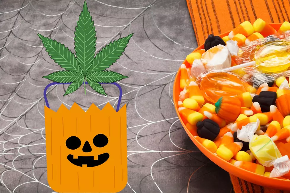 Did This Really Happen? Midwestern Marijuana Halloween Scare