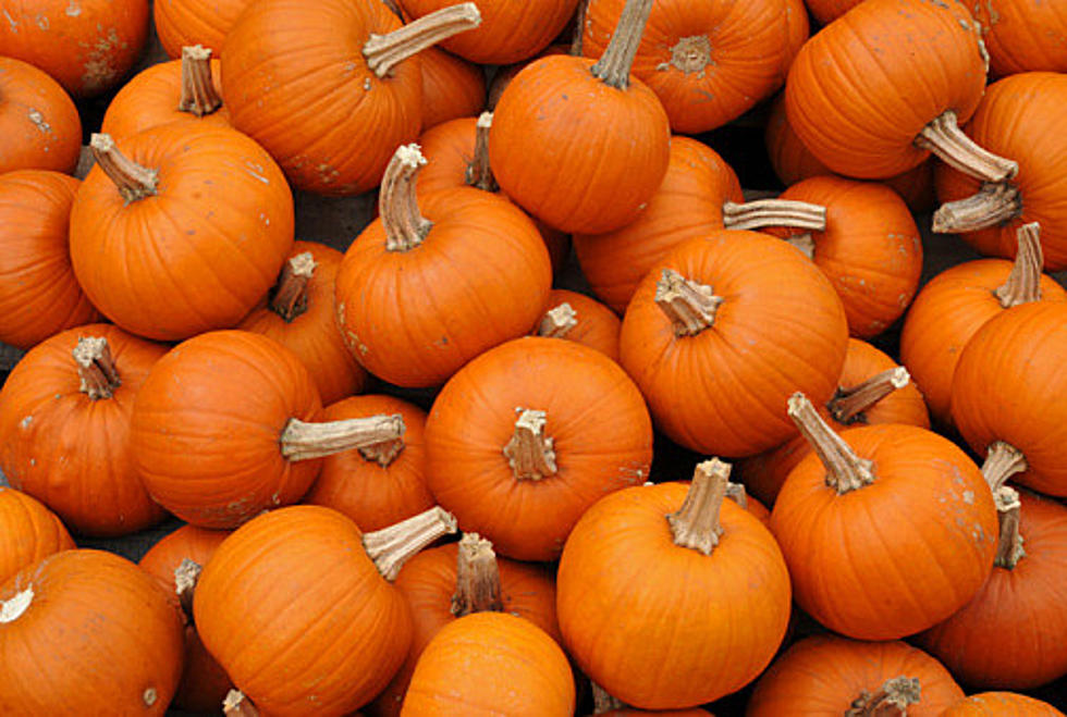 Check The Stats: Illinois Totally Rules Pumpkin Growing Worldwide