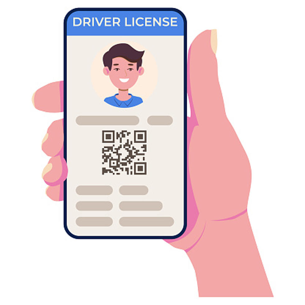 It’s 2024, When Will Illinois Switch To Digital Licenses?