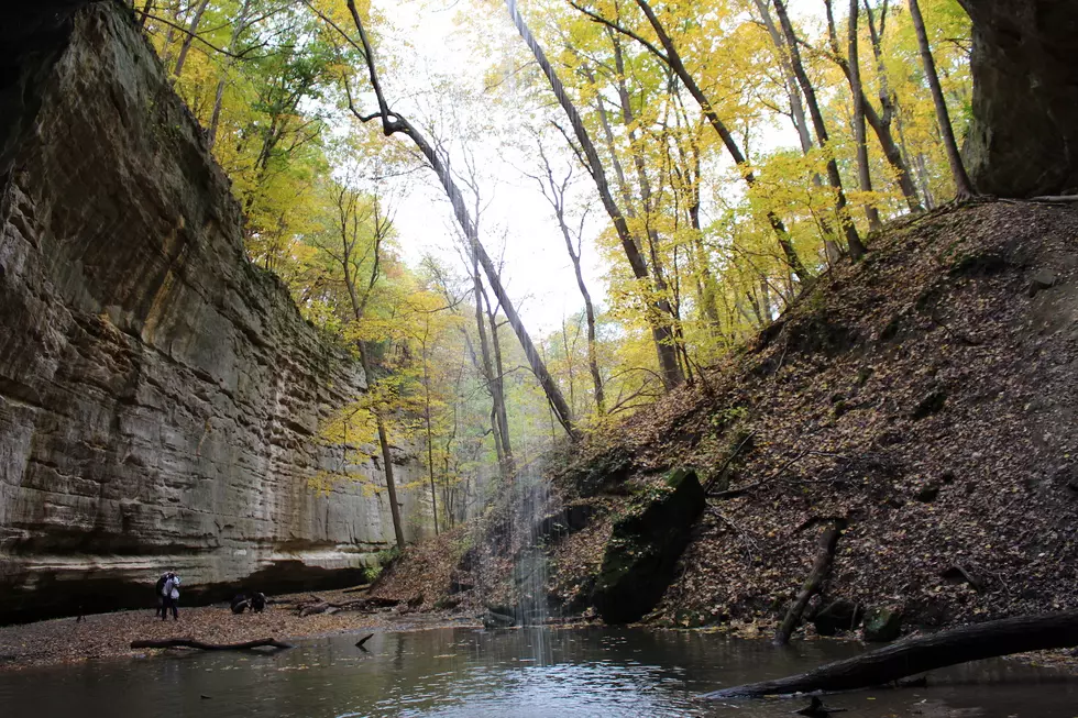 Starved Rock Name Change Petition Started Amid Recent Discussions