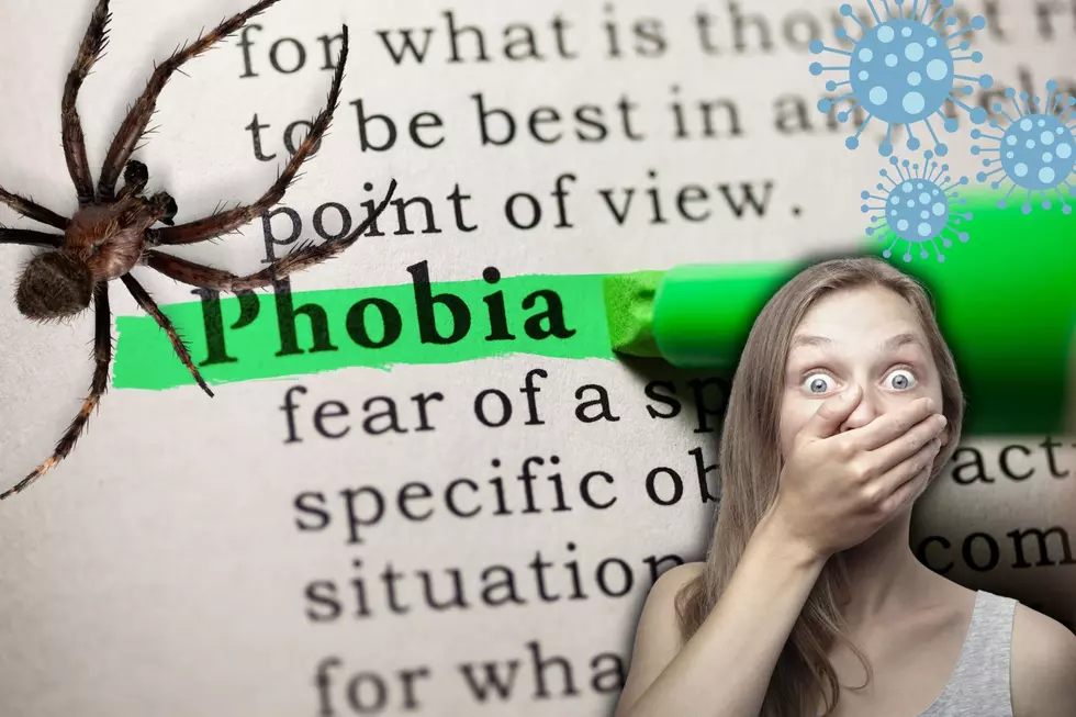 The Most Common Phobia In Illinois and Wisconsin Is Shocking And Hilarious