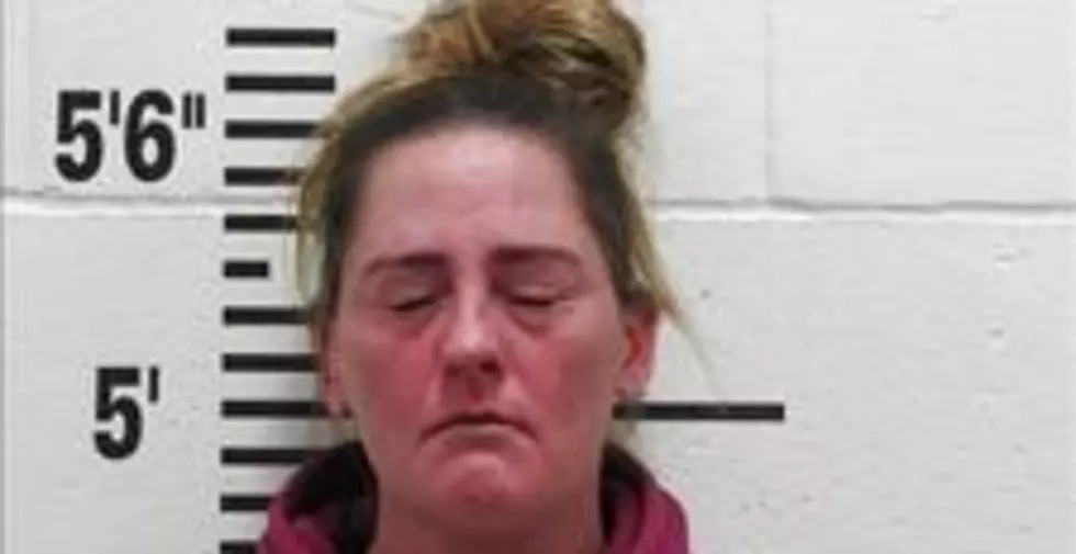 Traffic Stop Nets Charges Against Area Woman