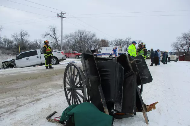 Accident Between Buggy and Vehicle Kills Horse, Seriously Hurts Driver