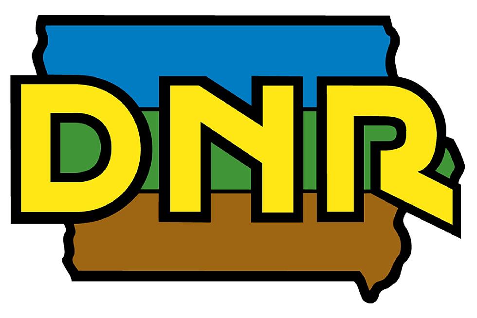 Iowa DNR Approves 11,600-Head Feedlot Near Monona
