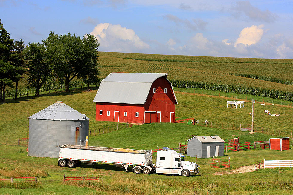 Midwesterners Fighting Amendment That Will Ban A Type Of Farming