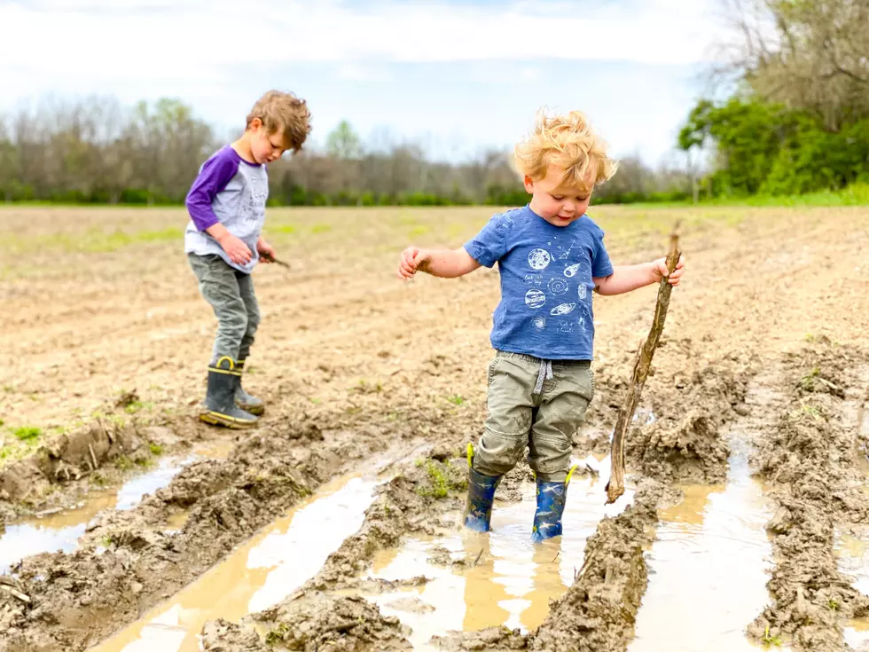 Iowa, Were These The Worst Farm Chores Growing Up?