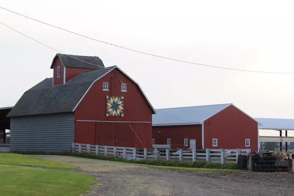Why Do Iowa Farmers Paint Their Barns Red?