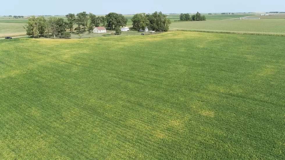 A New Farmland Record Set After $2.19 Million Sale In Iowa