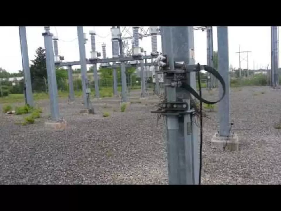 A Not So Shocking Surprise at this Electrical Substation  [VIDEO]