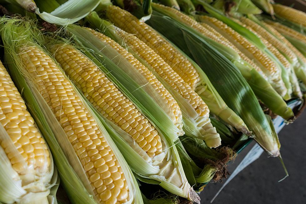 Get FREE Sweet Corn in Linn County in July
