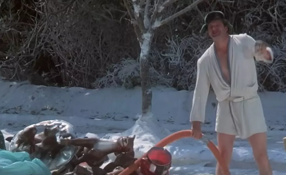 Iowa Dairy Producer's Christmas Movie Spoof Goes Viral [WATCH]
