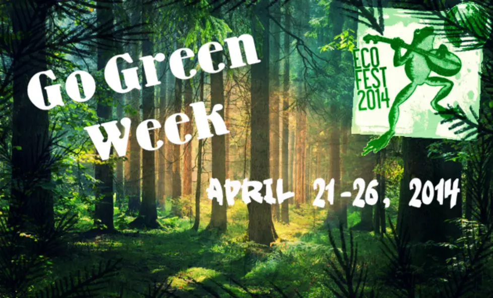 Go Green Week Day #3: Eco-Friendly Tips in the Yard