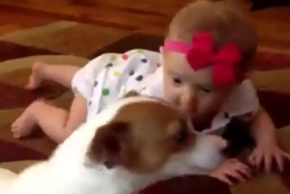 Adorable Video of a Dog That Can Help Teach Your Child to Crawl