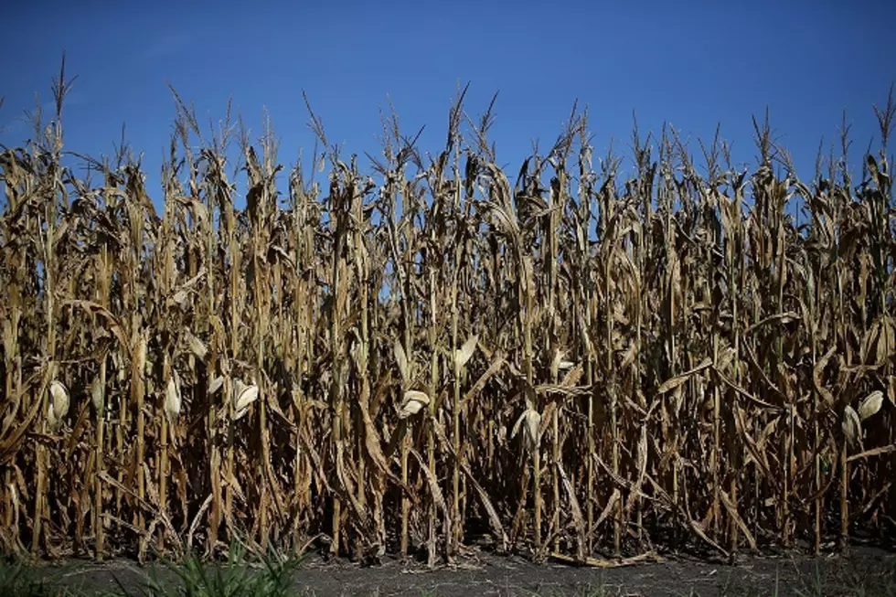 Iowa Drought On Doorstep of Cedar Rapids & Iowa City