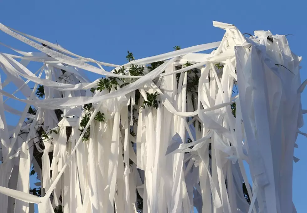 The Most Epic TP&#8217;ing Job You&#8217;ve Ever Seen [VIDEO]