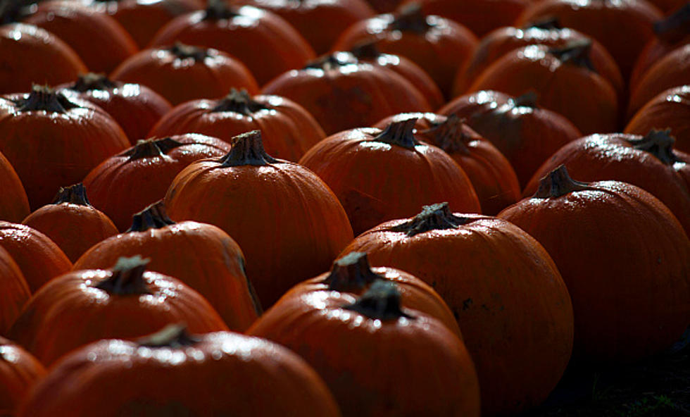 Has the ‘Pumpkin Spice’ Trend Gone Too Far?