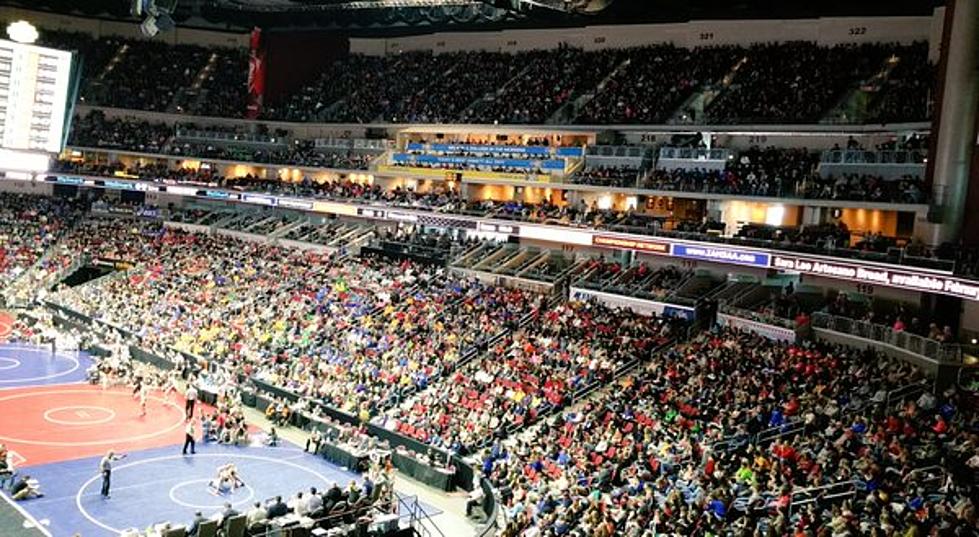 22 Area Wrestlers Will Vie for State Titles Saturday