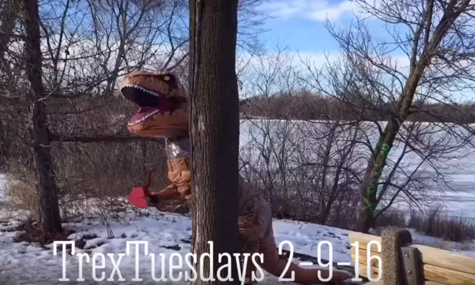 Two Dinosaurs Pull a Brett Eldredge and Do Some Flower-Bombing [VIDEO]