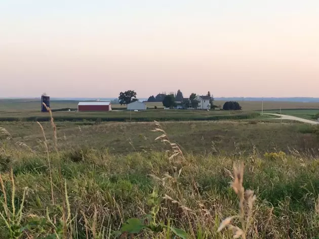 Iowa Farmland Values Continue To Fall