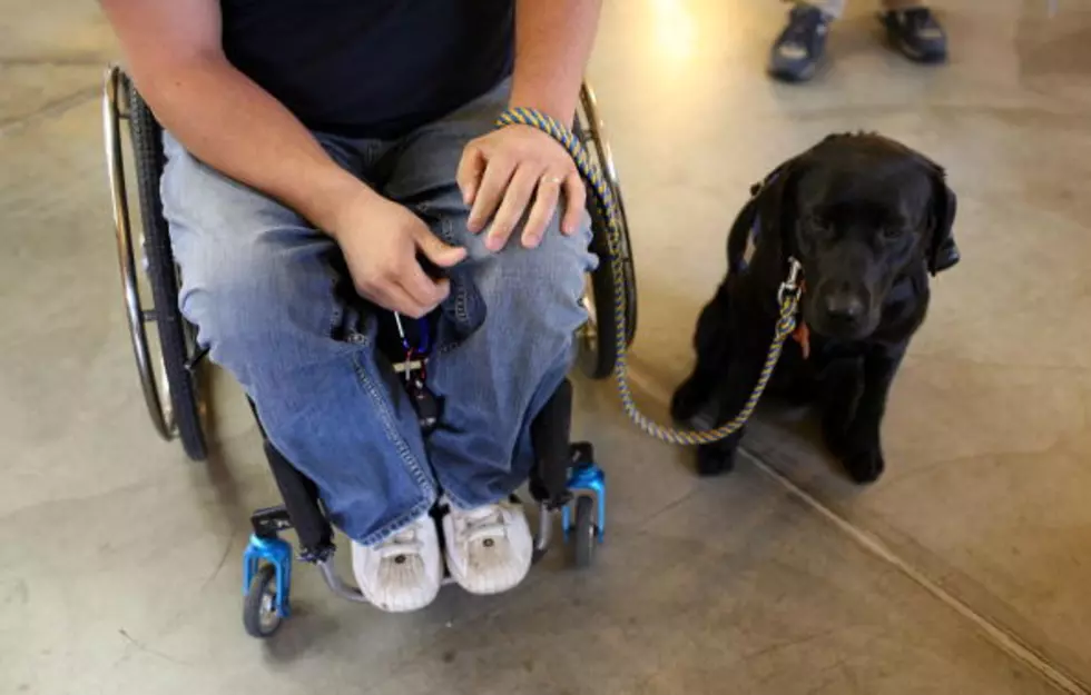Iowa Airport To Build Restroom For Service Dogs