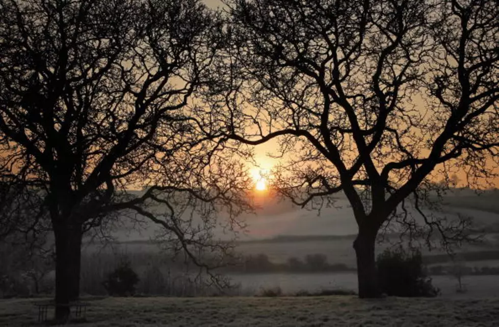 Get Ready…The First Frost Is Coming Thursday Morning