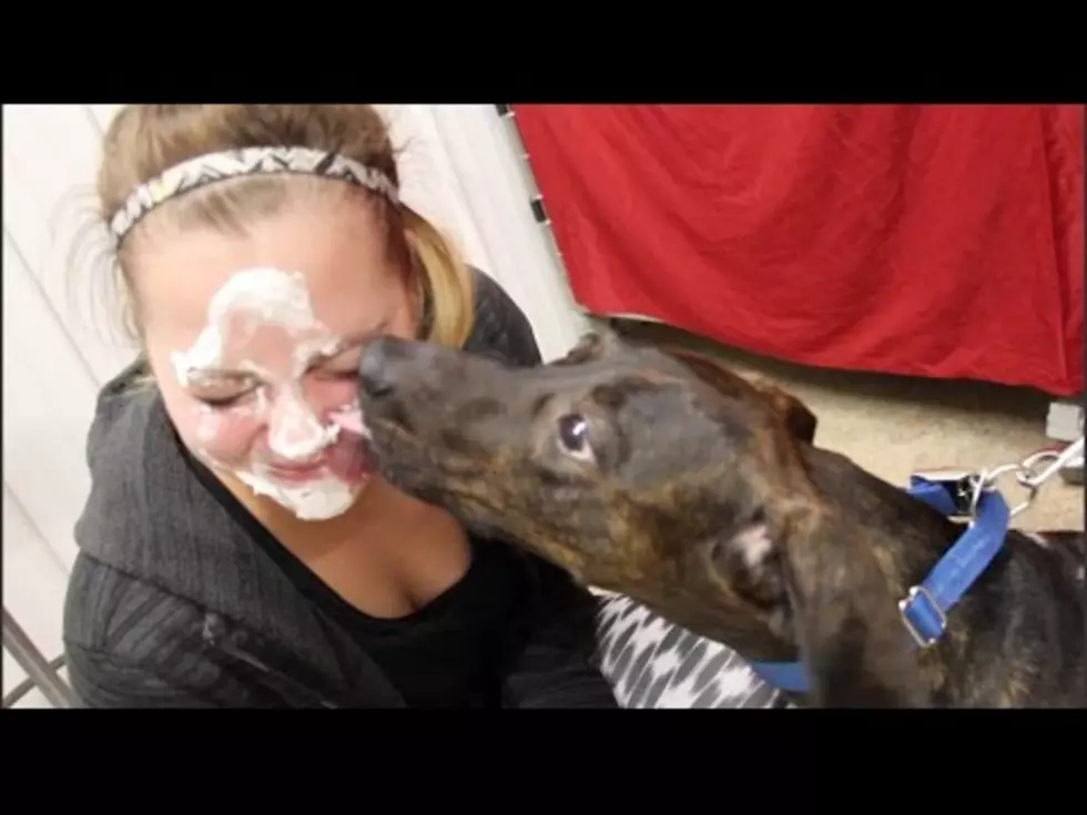 Pied For Puppies [WATCH]