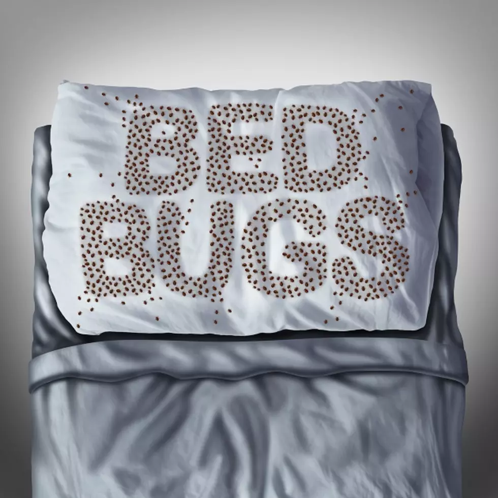 Number of Bed Bugs Increasing in Eastern Iowa Cities