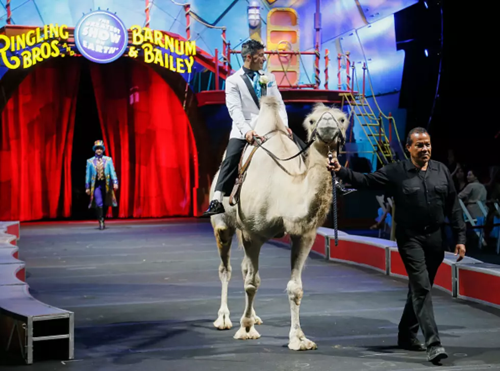 Ringling Bros Coming To A Close In May