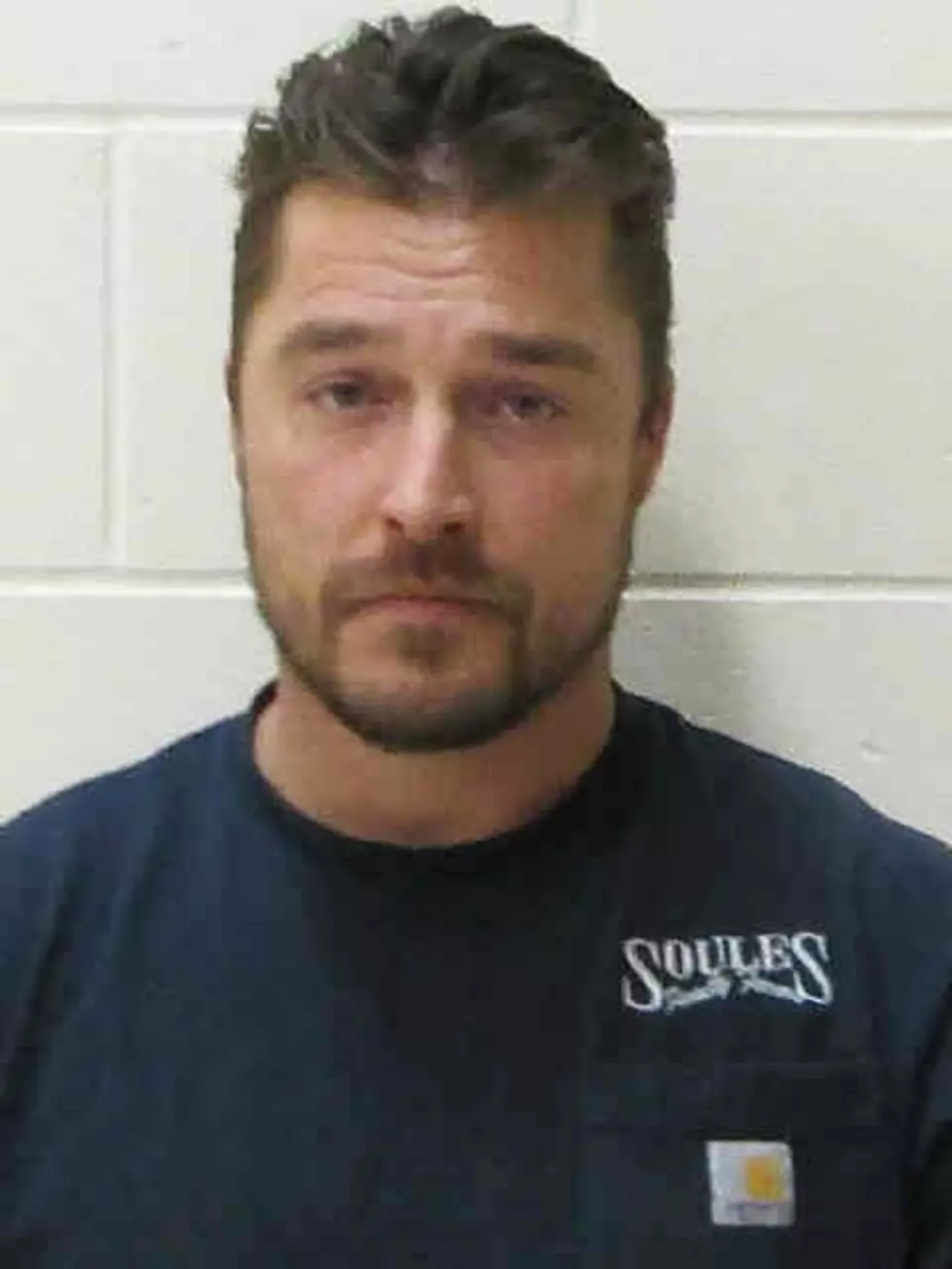 Iowa Bachelor Chris Soules Pleads Guilty to Lesser Charge Involving Fatal Crash