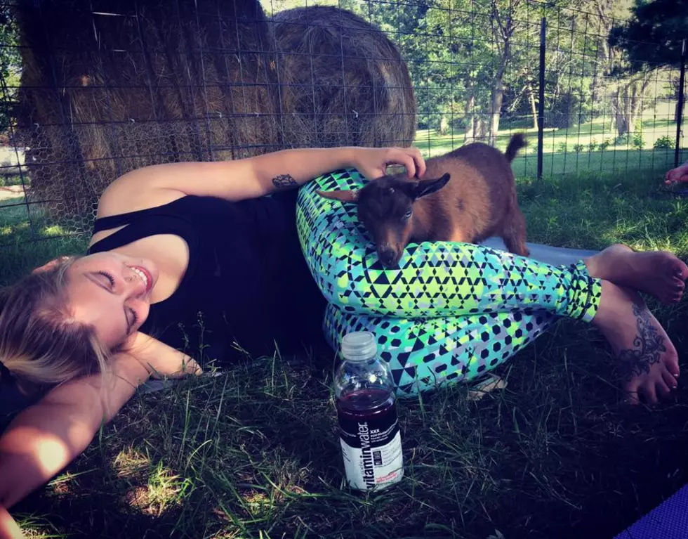 Courtlin Did Goat Yoga on Saturday Morning [PHOTOS]