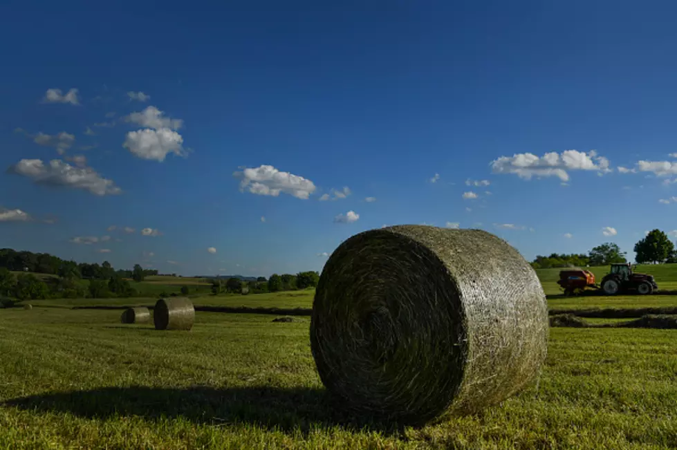 Don’t Try And Jump A One Ton Hay Bale…Or THIS Could Happen [VIDEO]
