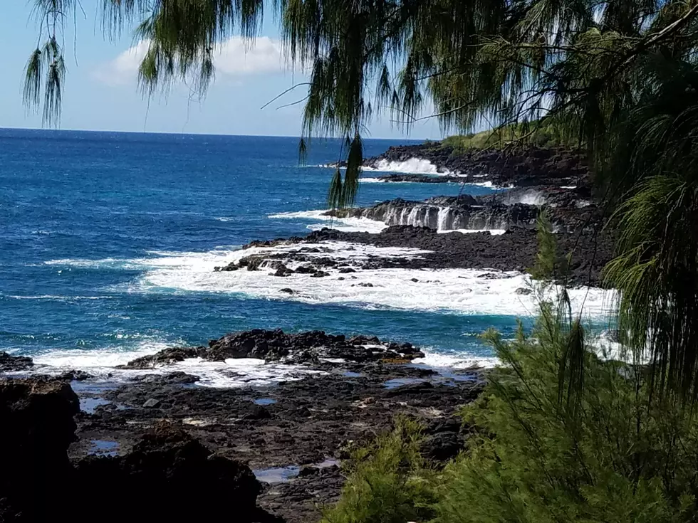 Bob James’ Trip to Hawaii Was an Educational One [PHOTOS]