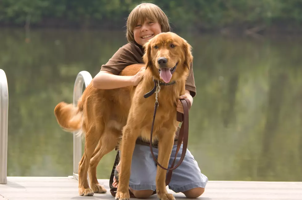 10-Year-Old Iowa Boy's Pet-Loving Twitter Page Goes Viral