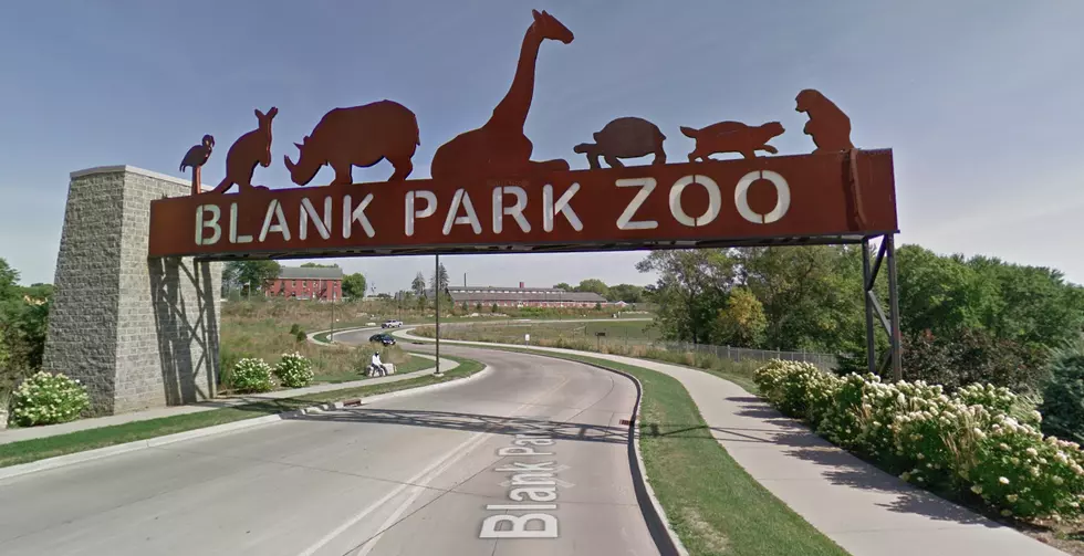 A Zebra at Blank Park Zoo Has Died