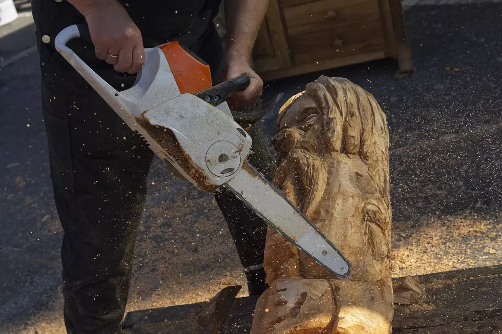 Iowa Chainsaw Artists Coming To Marion To Benefit Trees Forever