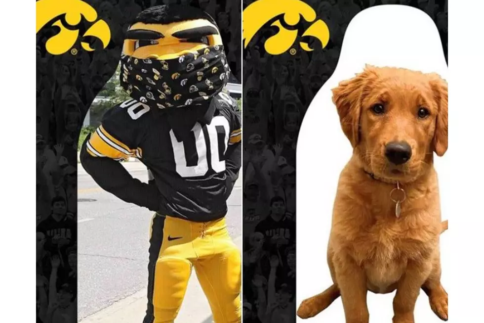 University of Iowa Selling "Fight With Us" Fan Cutouts for Kinnic