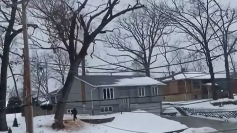 Cedar Rapids Tree Hits Power Lines After Being Cut Down [WATCH]