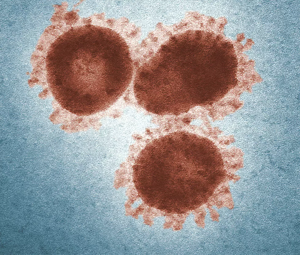 U.K. Coronavirus Variant Confirmed in Johnson County