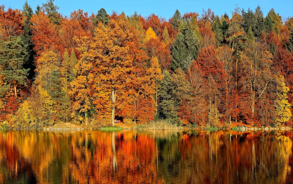 The Best Times To View Fall Colors In Iowa