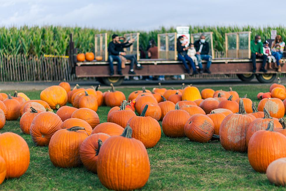 All the Fun Fall Events Happening in the Corridor in October [LIST]