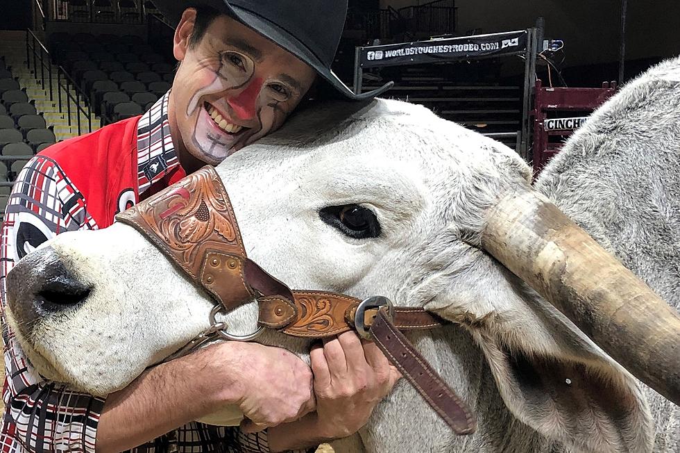 You Can Sit on a Bull at the World’s Toughest Rodeo