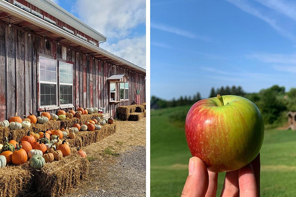 Eastern Iowa Apple Orchard Named One of the Best in the Midwest