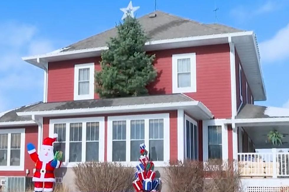 Iowa Family Gets Christmas Tree So BIG, It Won’t All Fit Inside [WATCH]