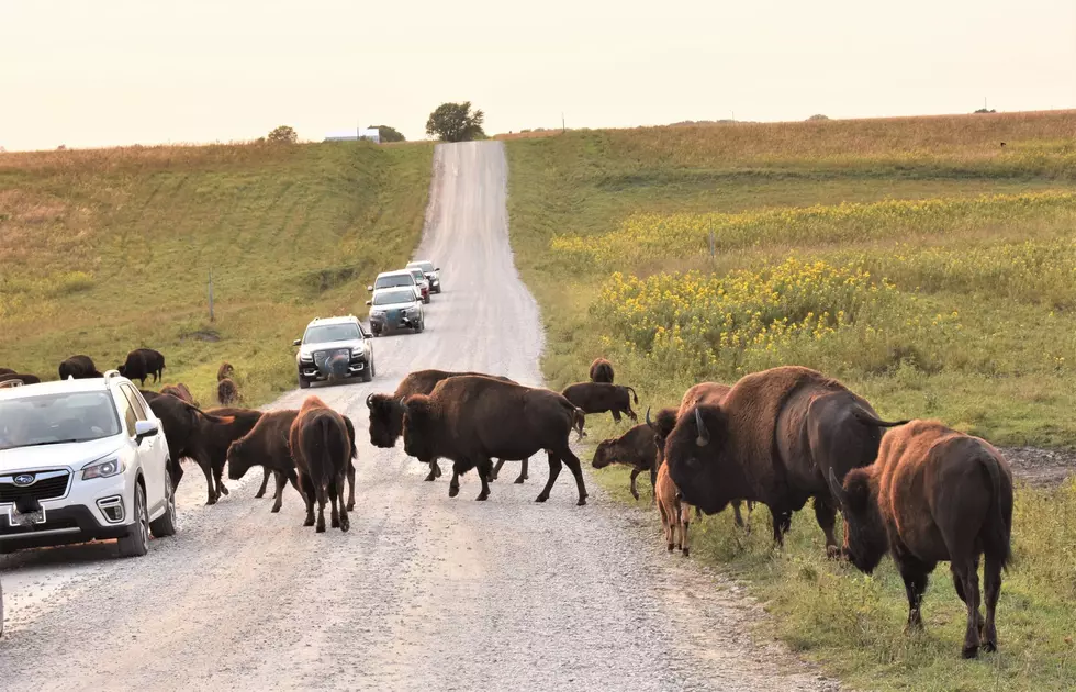 Iowa is Home to 2024&#8217;s Best Wildlife Refuge in America [PHOTOS]